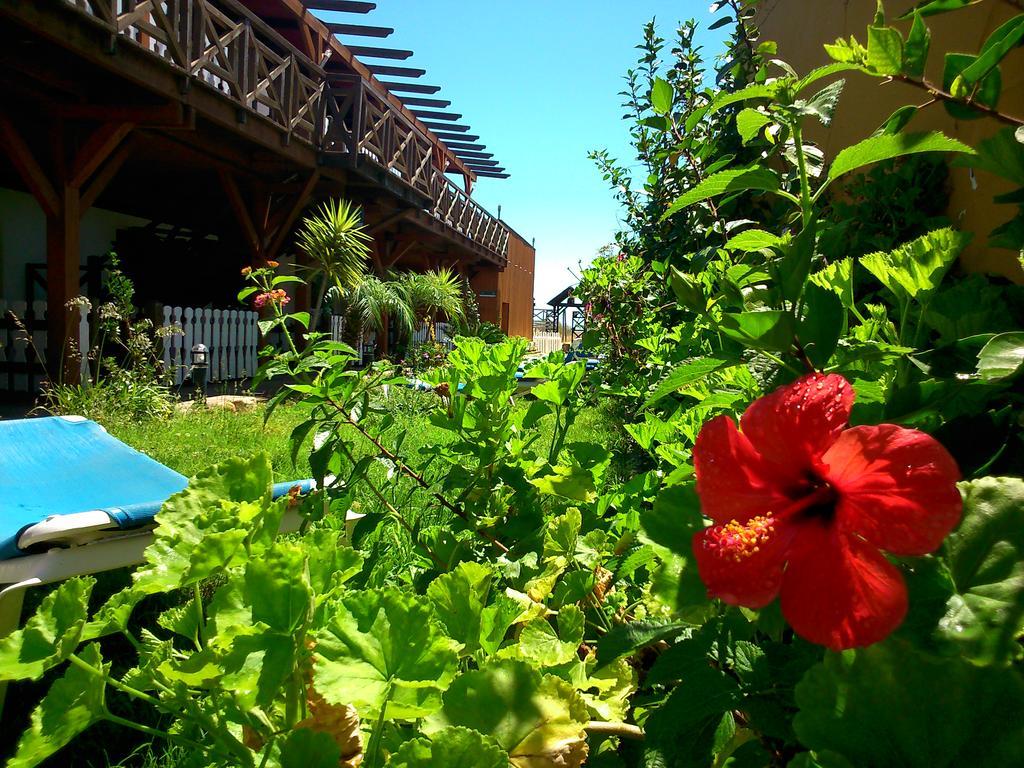 Hostal Playa Mazagón Exteriör bild